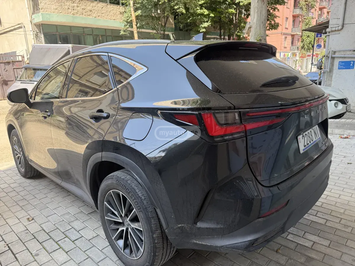 Lexus NX 350 2023 — photo 2