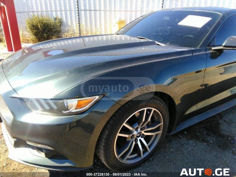 Ford Mustang 2015 — photo 2