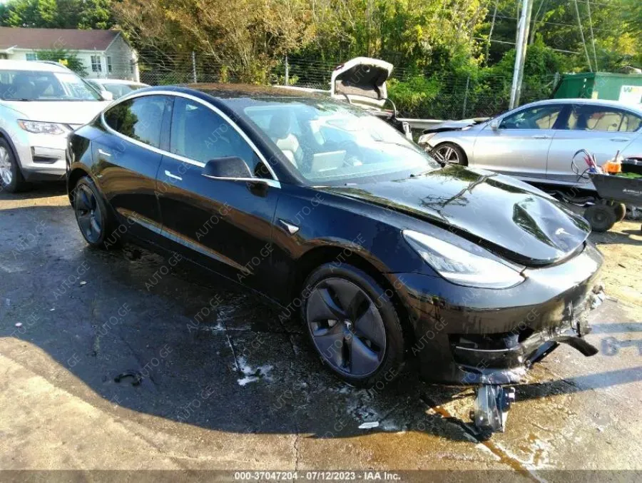 Tesla Model-3-Tesla
