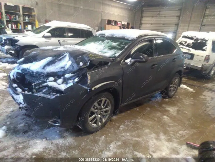 Lexus NX 2017 — photo 2