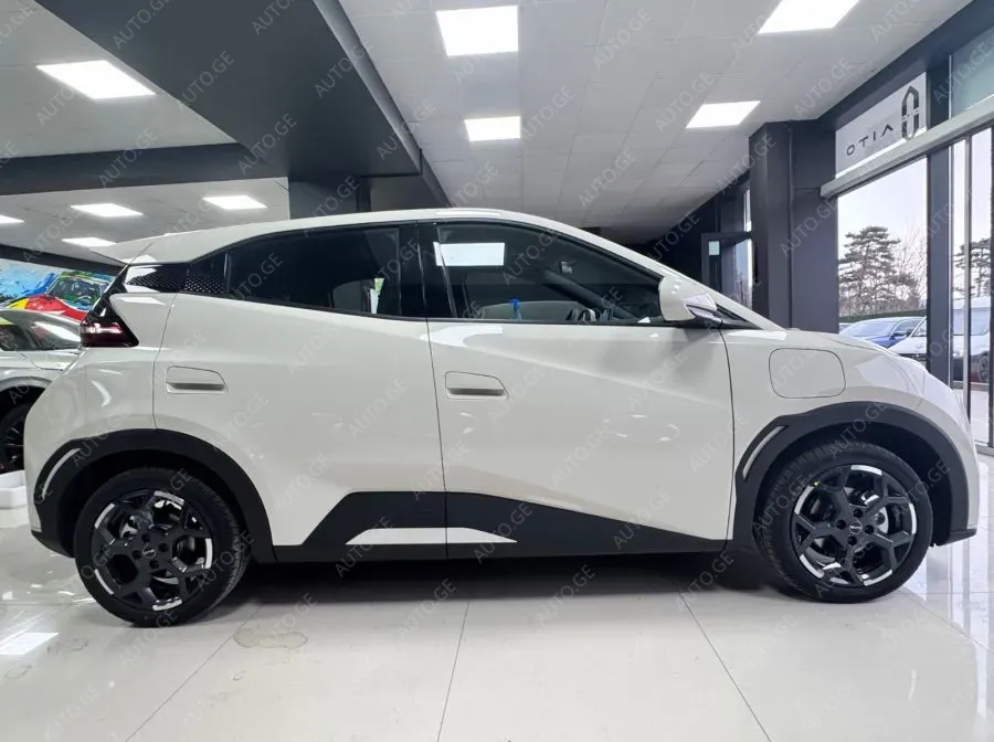 BYD Sxva 2024 — photo 2