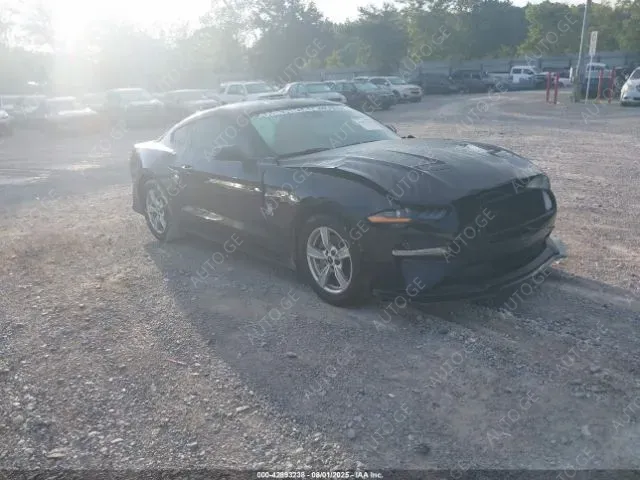Ford Mustang 2021 — photo 2