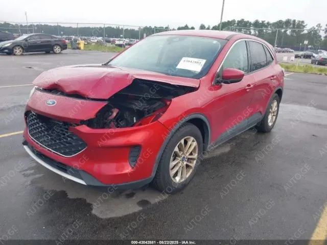 Ford Escape 2021 — photo 2