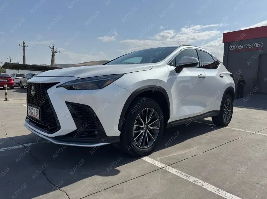 Lexus Nx250 2023 — photo 2
