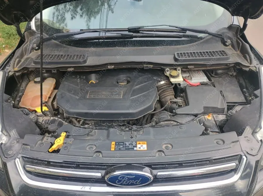 Ford Escape 2013 — photo 2