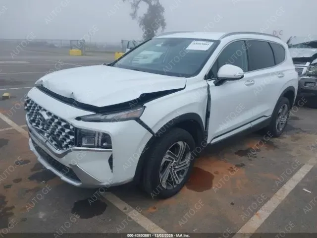 Hyundai Santa-Fe 2021 — photo 2