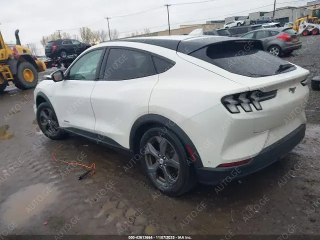 Ford Mustang 2021 — photo 2