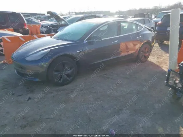 Tesla Model-3-Tesla 2019 — photo 2