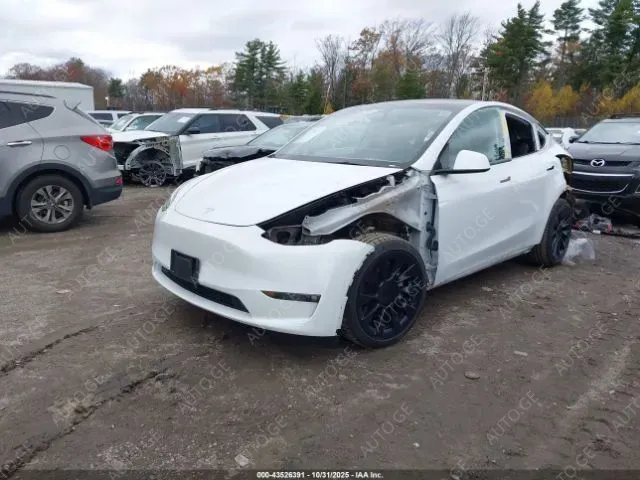 Tesla Model Y 2024 — photo 2