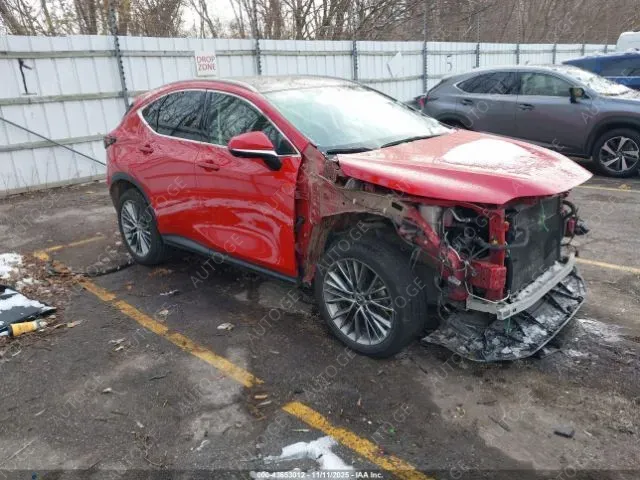 Lexus Nx-350H 2022 — photo 2