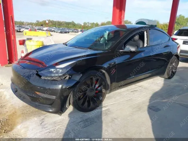 Tesla Model-3-Tesla 2021 — photo 2