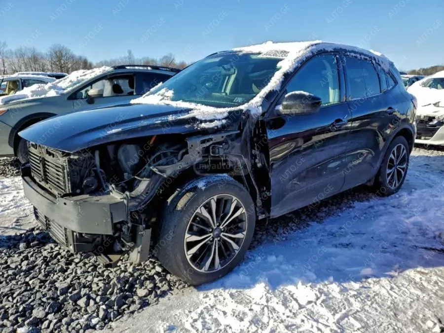 Ford Escape 2021 — photo 2