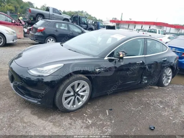 Tesla Model-3-Tesla 2018 — photo 2