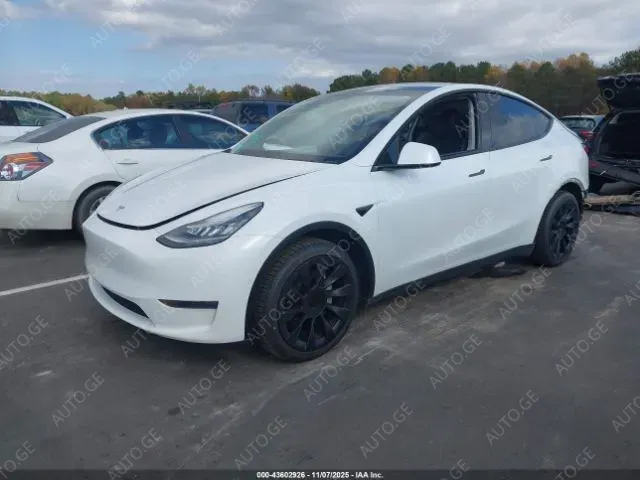 Tesla Model Y 2020 — photo 2