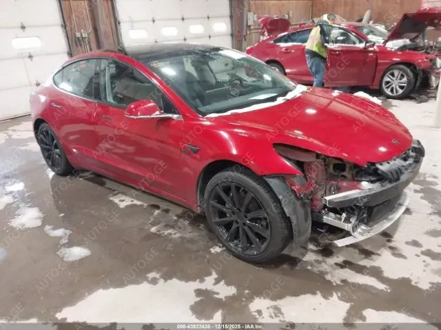 Tesla Model-3-Tesla 2019 — photo 2