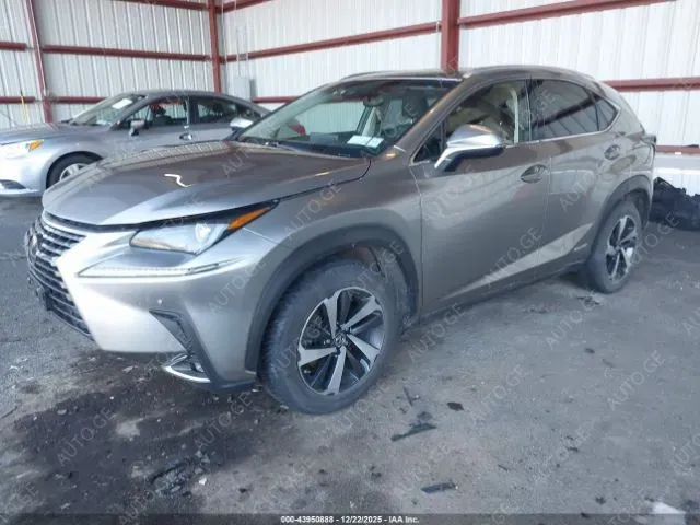 Lexus Nx-300L 2018 — photo 2