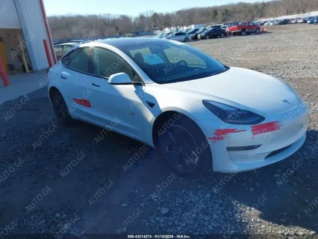 Tesla Model-3-Tesla