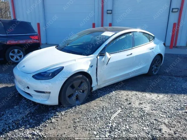 Tesla Model-3-Tesla 2023 — photo 2