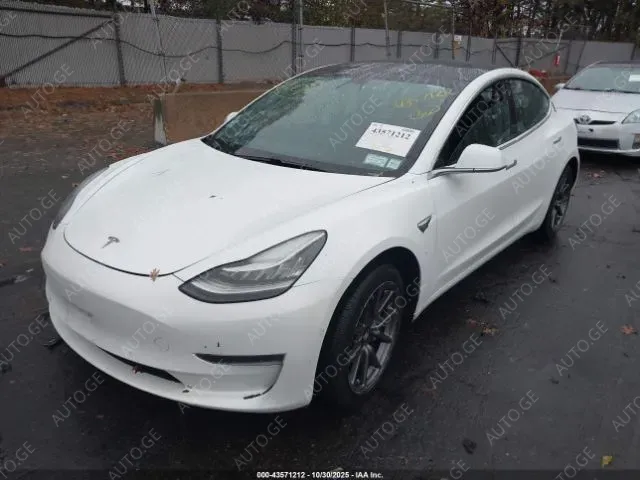Tesla Model-3-Tesla