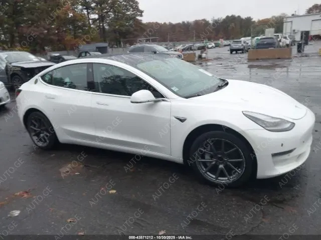 Tesla Model-3-Tesla 2019 — photo 2