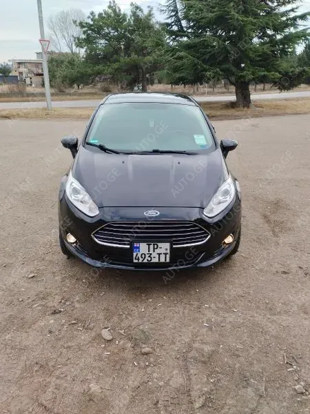 Ford Fiesta 2014 — photo 2