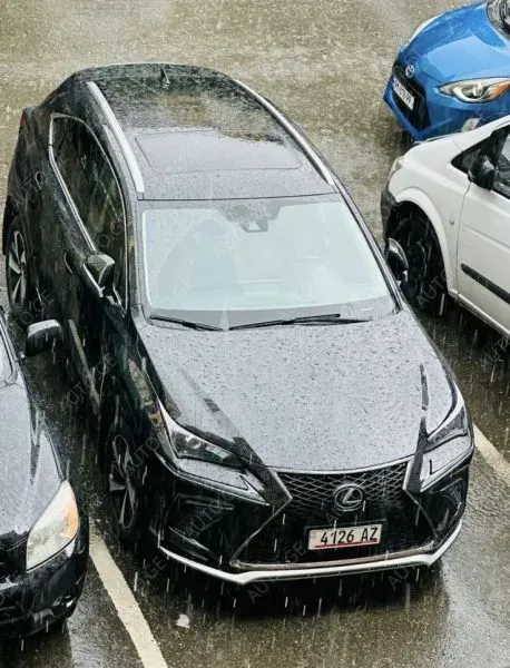Lexus Nx-300L 2020 — photo 2