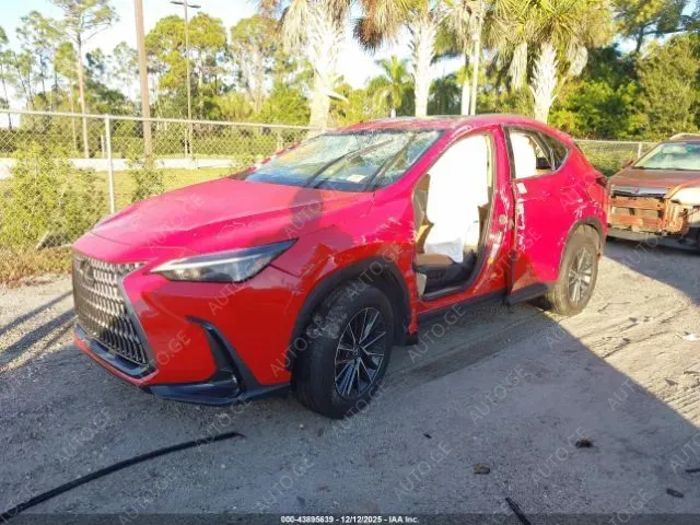 Lexus Nx-350H 2024 — photo 2