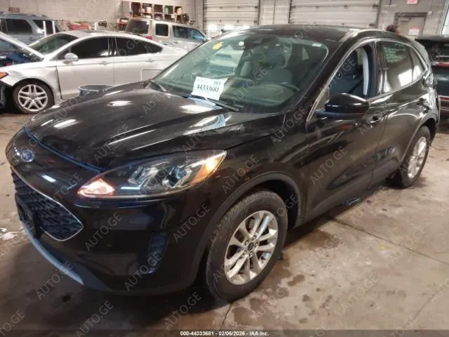 Ford Escape 2021 — photo 2