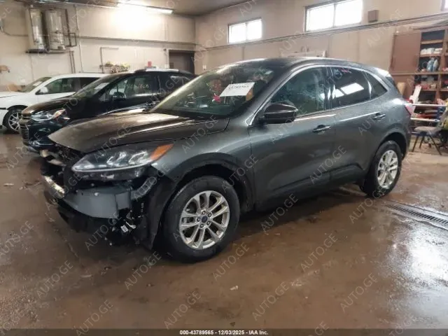 Ford Escape 2020 — photo 2