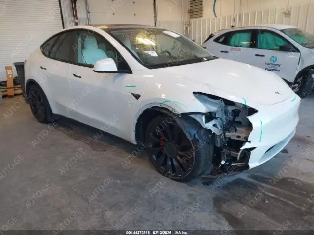 Tesla Y-Performance 2021 — photo 2