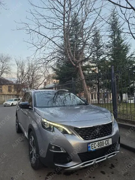 Peugeot 3008 2019 — photo 2