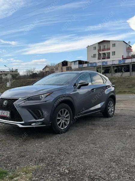Lexus Nx-300L 2020 — photo 2