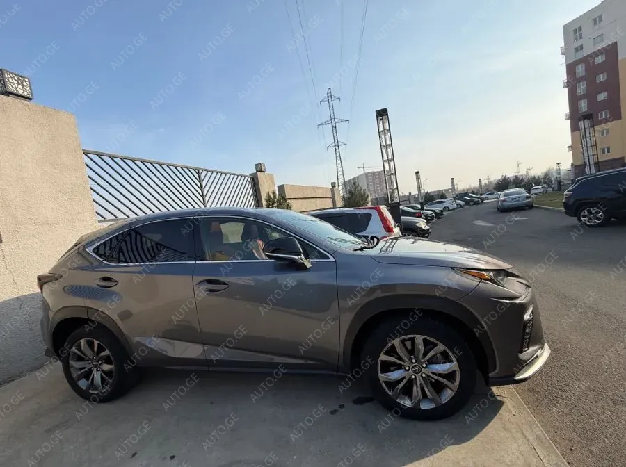 Lexus Nx-300L 2019 — photo 2