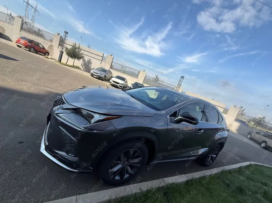 Lexus Nx-300L 2019 — photo 2