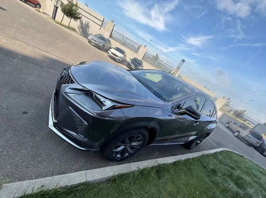 Lexus Nx-300L 2019 — photo 2