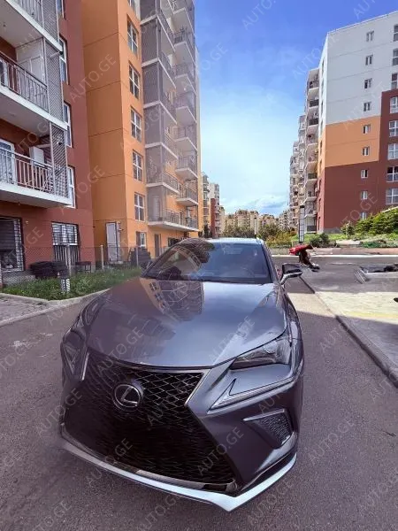 Lexus Nx-300L 2020 — photo 2