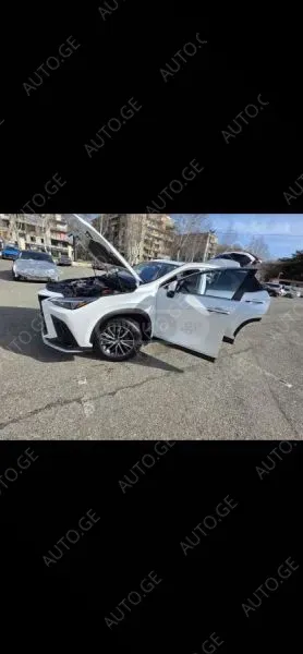 Lexus Nx350 2024 — photo 2
