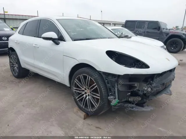 Porsche Macan 2020 — photo 2