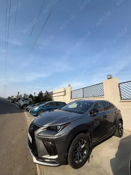 Lexus Nx-300L 2020 — photo 2