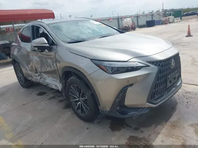 Lexus Nx250 2024 — photo 2