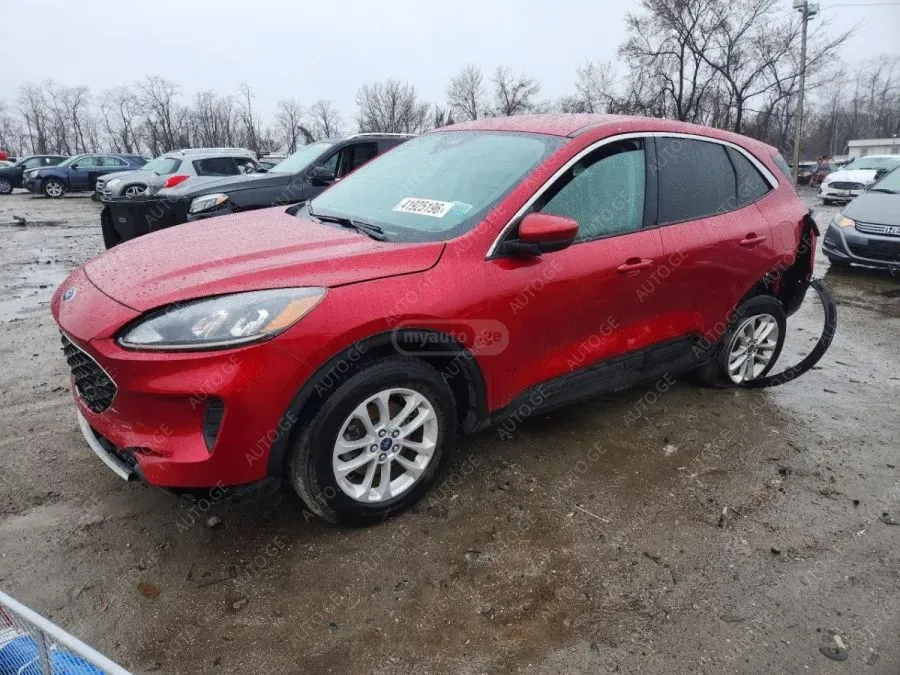 Ford Escape 2020 — photo 2