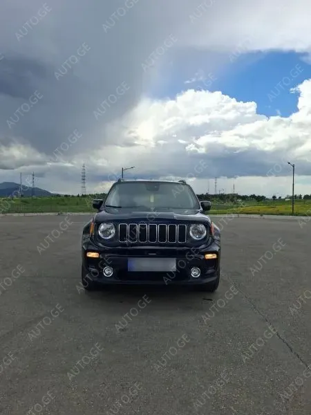 Jeep Renegade 2019 — photo 2