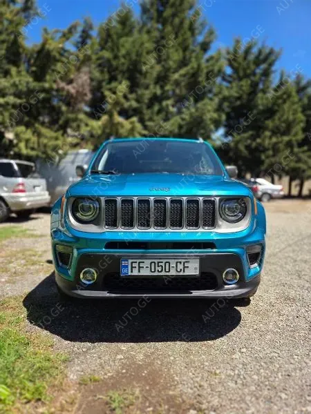 Jeep Renegade 2019 — photo 2