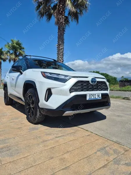 Toyota RAV4 2023 — photo 2