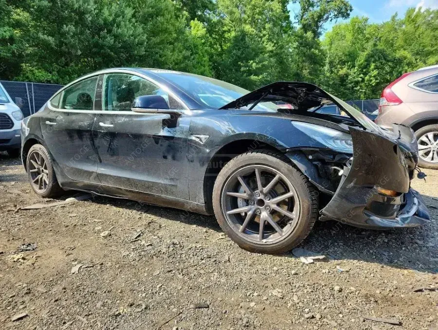 Tesla Model-3-Tesla