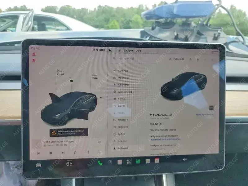 Tesla Model-3-Tesla 2019 — photo 2