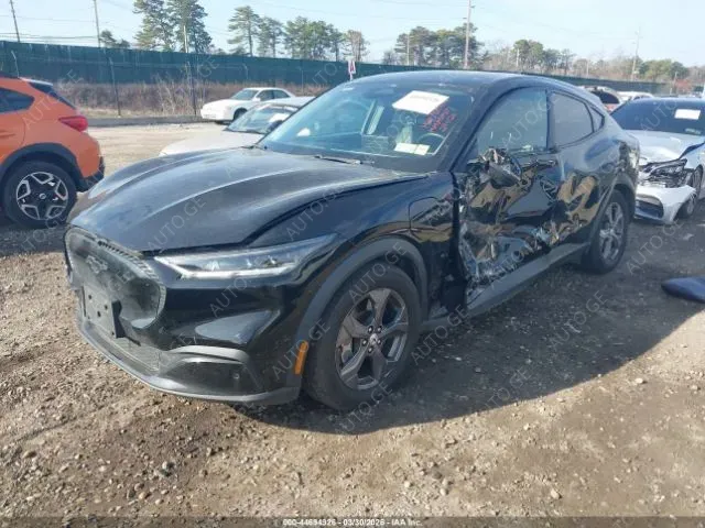Ford Mustang 2021 — photo 2