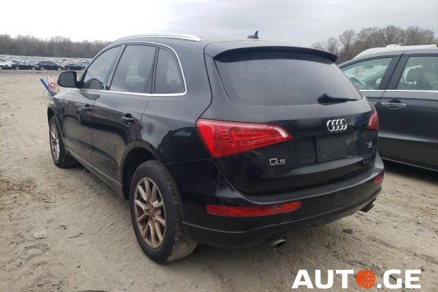 Audi Q5 2010 — photo 2