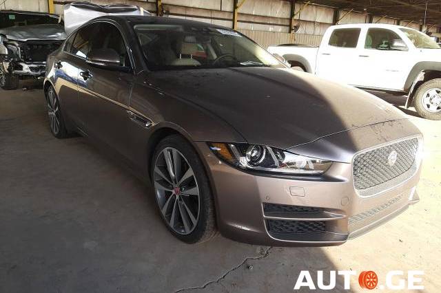 Jaguar Xe-Jaguar