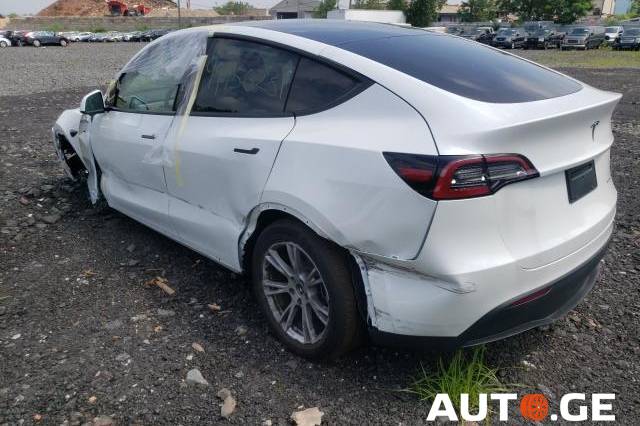 Tesla Y-Performance 2021 — photo 2
